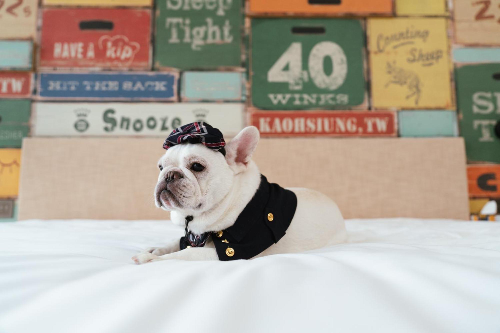 Hotel Indigo Kaohsiung Central Park By Ihg Esterno foto French Bulldog